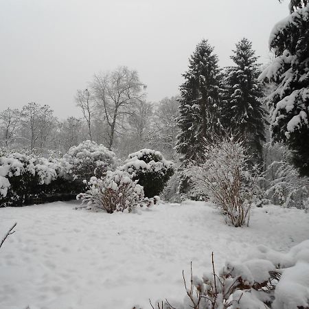 Fewo-Eichenkopf Voelklingen Bagian luar foto