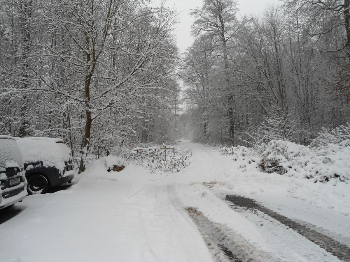 Fewo-Eichenkopf Voelklingen Bagian luar foto