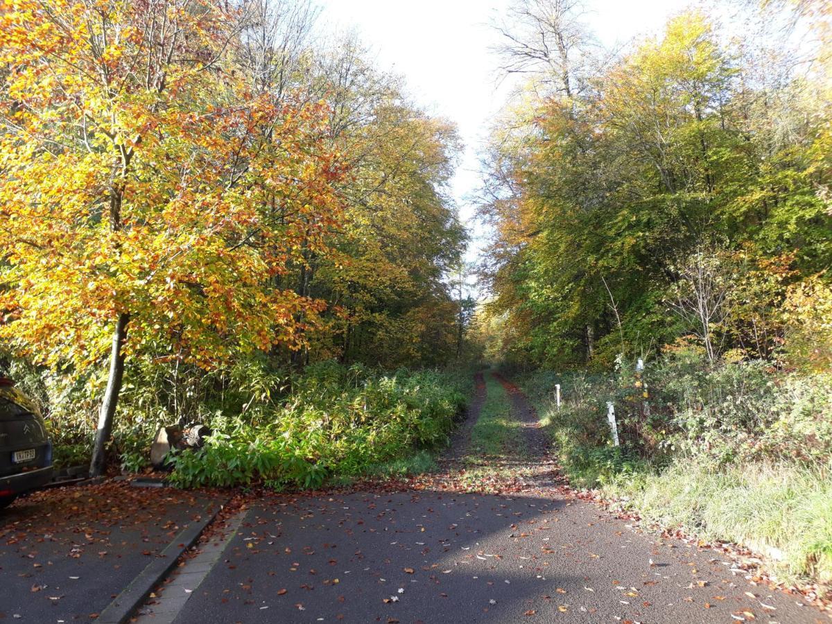 Fewo-Eichenkopf Voelklingen Bagian luar foto